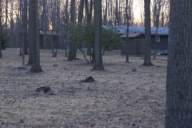 Service at Camp Tenacharison